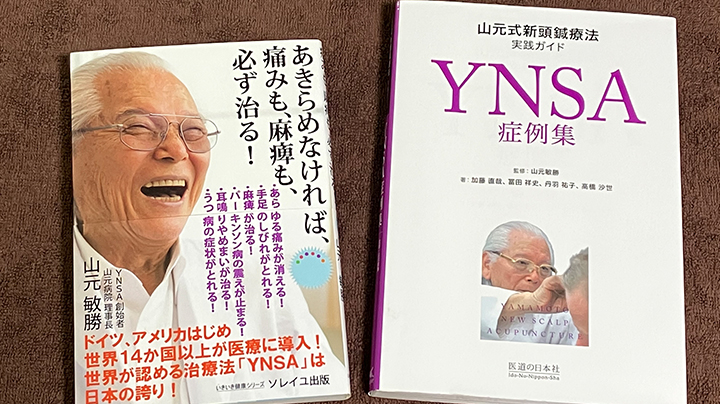 YNSA®（山元式新頭鍼療法）